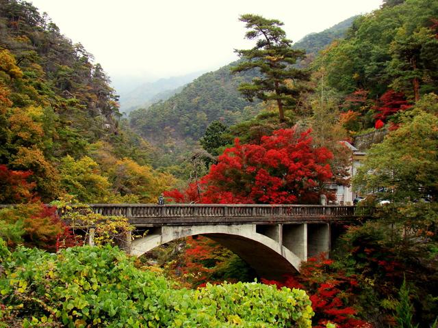 Shōsenkyō